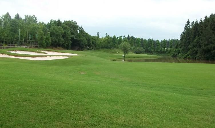 羊上树和花式高尔夫怎么玩