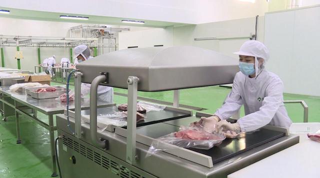 广南:投资7200万屠宰加工厂试生产 日屠宰300头牛