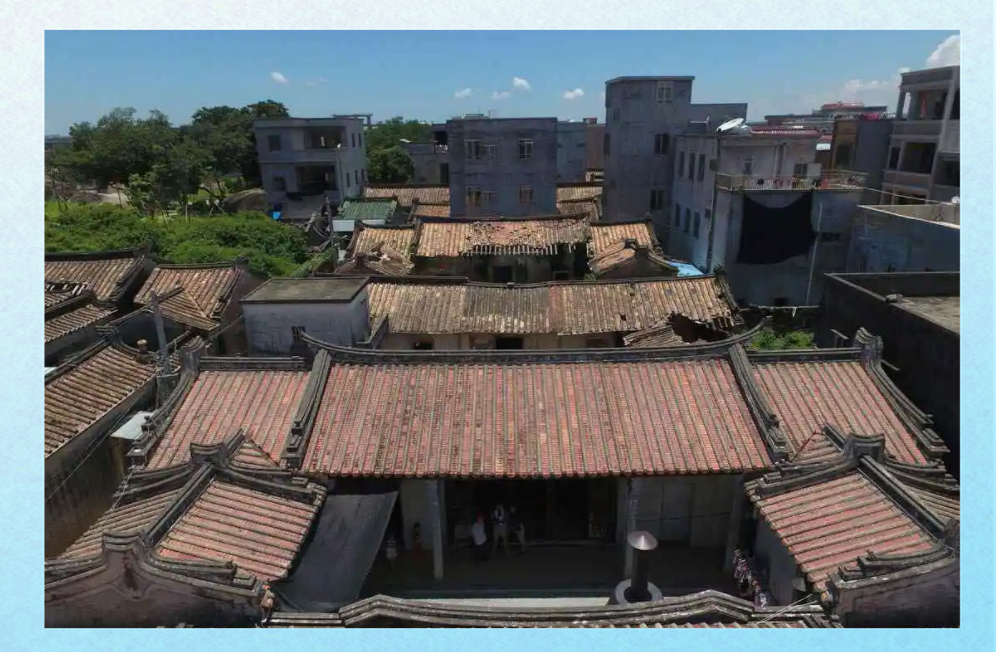 2013年博社村事件:毒品泛滥与重兵清剿的惊险故事