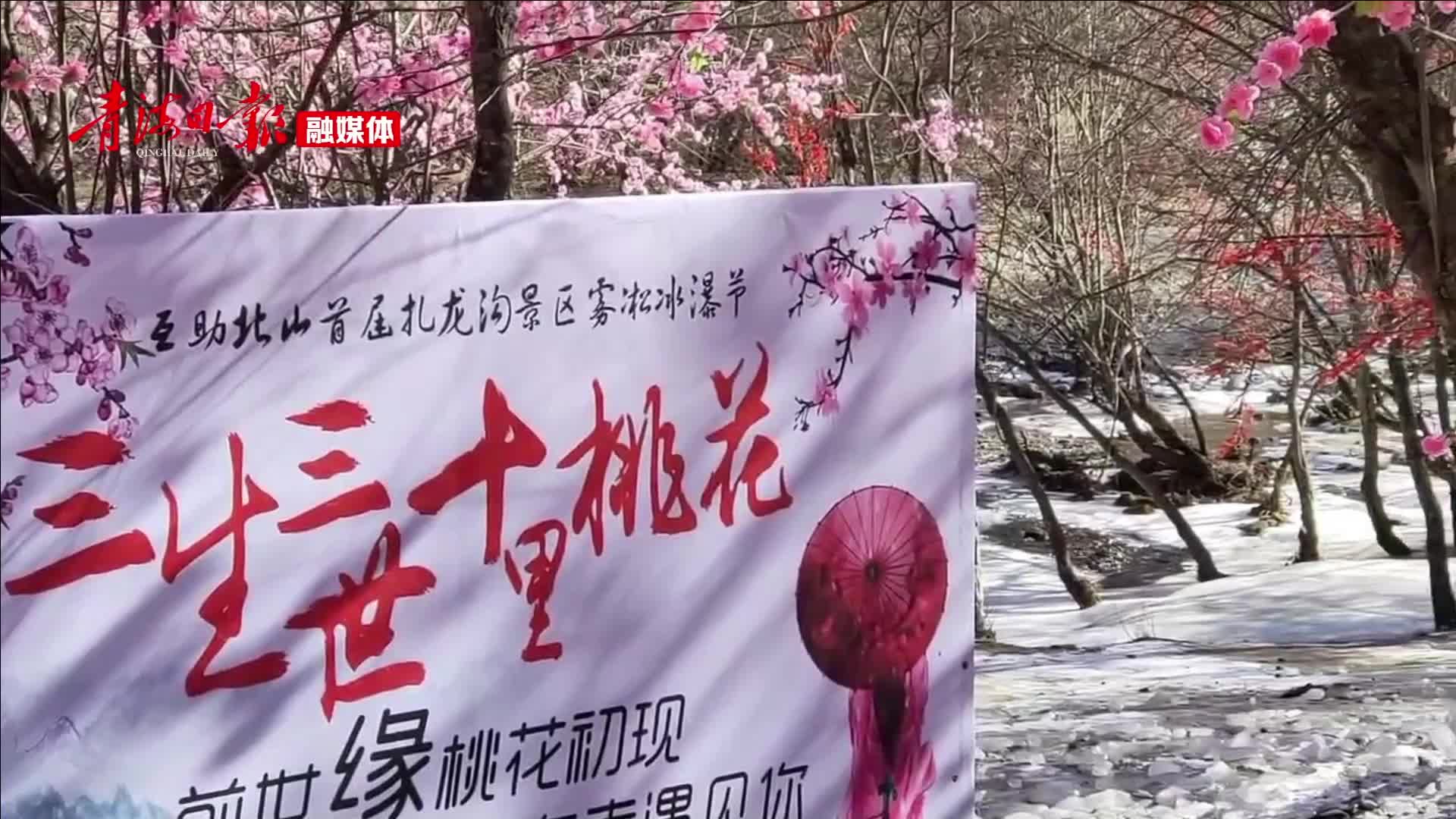 冬日美丽的互助扎龙沟景区