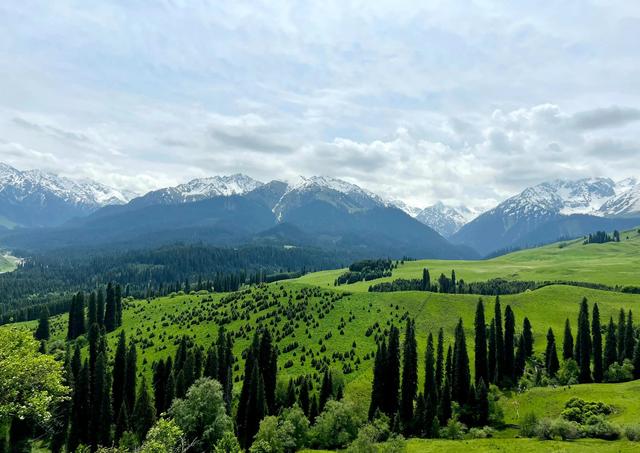 小众景点:新疆恰西森林,林海松涛,高山草原,绿洲秘境!