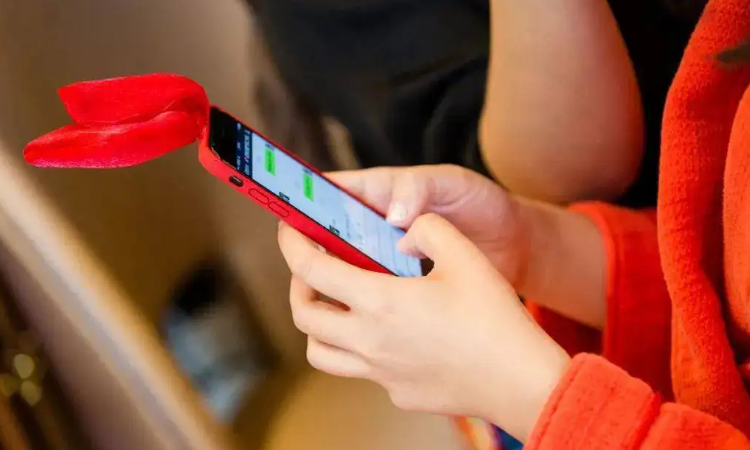 魅果手机是什么牌子