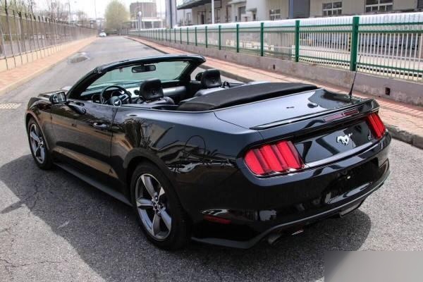 gt车标的车,车后面gt车标是什么车