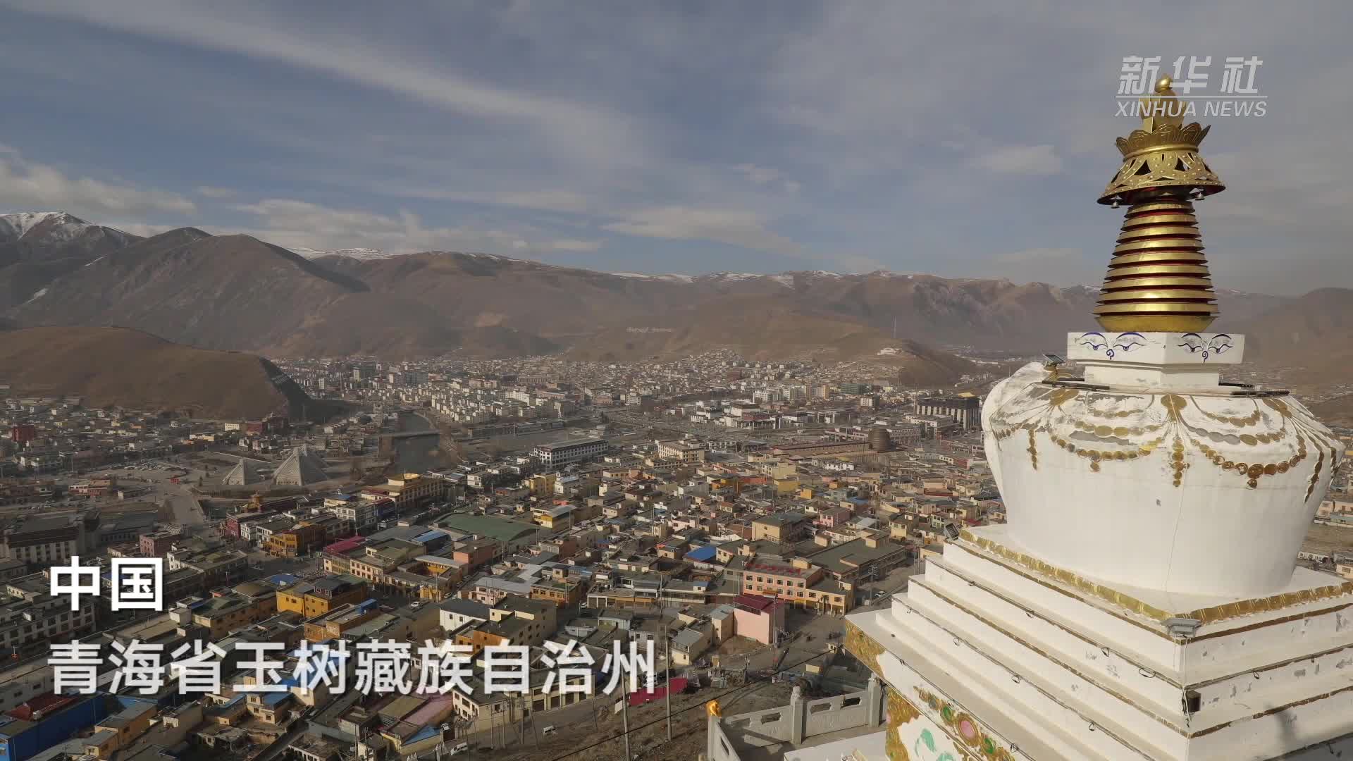 特稿丨中非产业链合作共筑发展之路