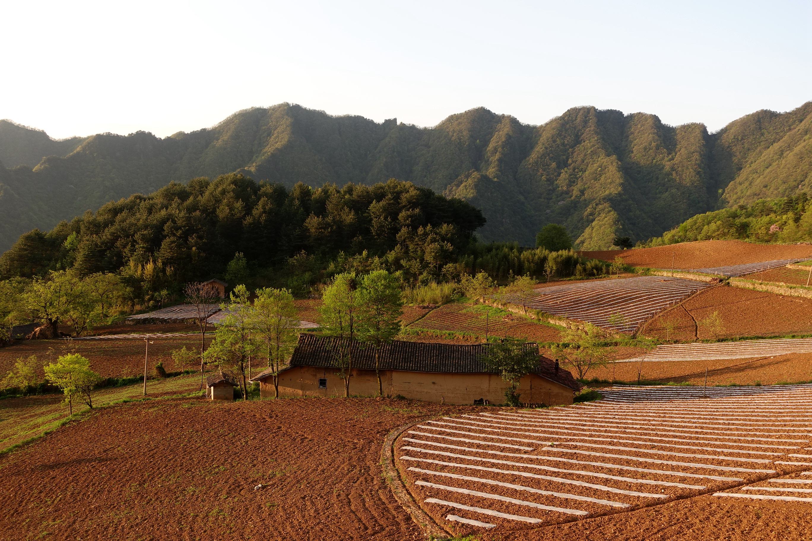 秦巴山地乡土建筑的空间组织和形态特征