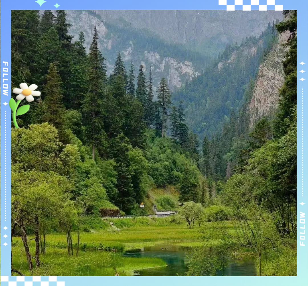 山林,这片大地的绿色梦境,是心灵得以净化的圣地,它宛如一扇古老而