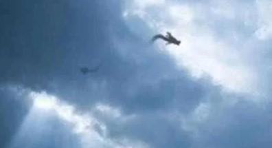 神龙见首不见尾,营口坠龙事件应该是真实发生的小概率事件