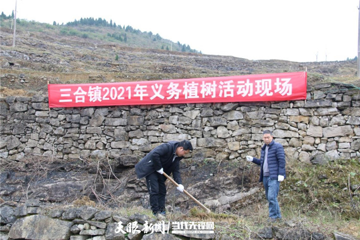 播州区三合镇:人勤春来早,植树正当时