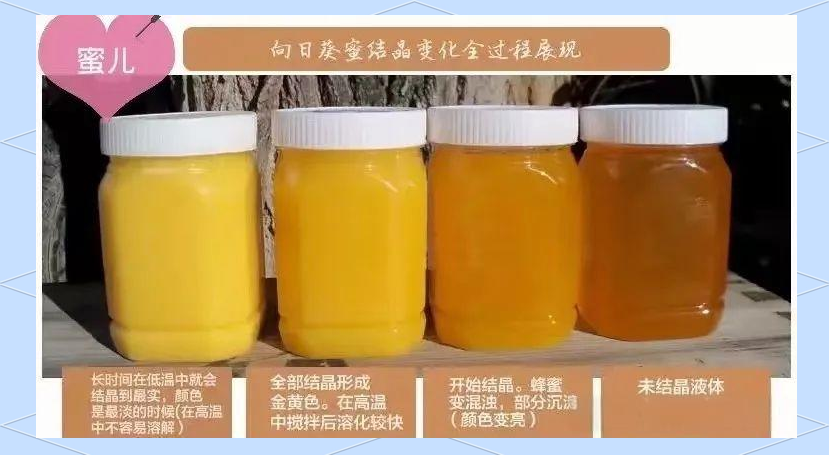 蜂蜜要怎么保存不会坏(蜂蜜要怎么保存才好)