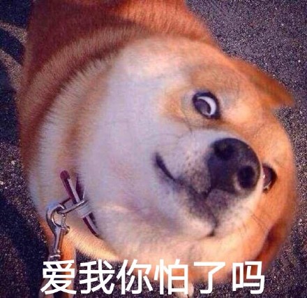 瞪眼doge 表情包「金馆长表情包」