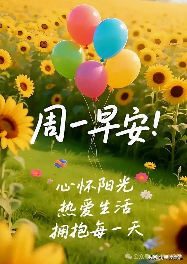 最新周一早安愉快漂亮图片祝福,新周开启,步履不停,平安喜乐!