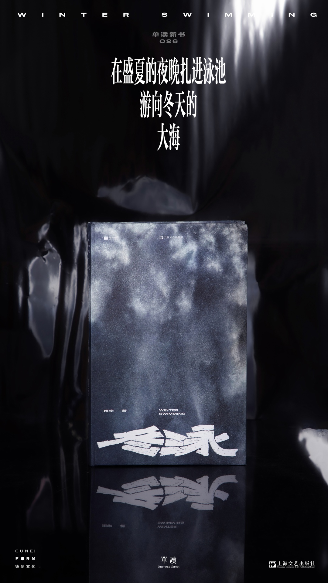 班宇《冬泳》全新再版:在盛夏的夜晚扎进泳池,游向冬天的大海