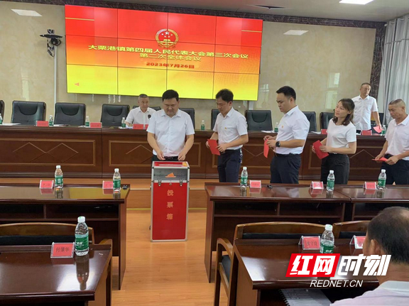 桃江县大栗港镇第四届人民代表大会第三次会议顺利召开