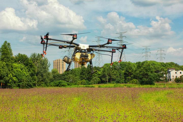 无人机洒农药见过吗?10分钟喷洒5亩花田