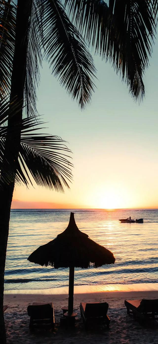 冷色调壁纸,不念!不值!