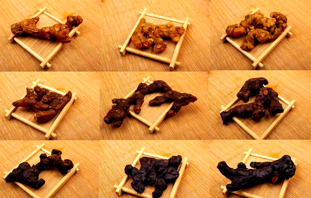 黄精:中药中的"黄金",九蒸九晒的野生珍品