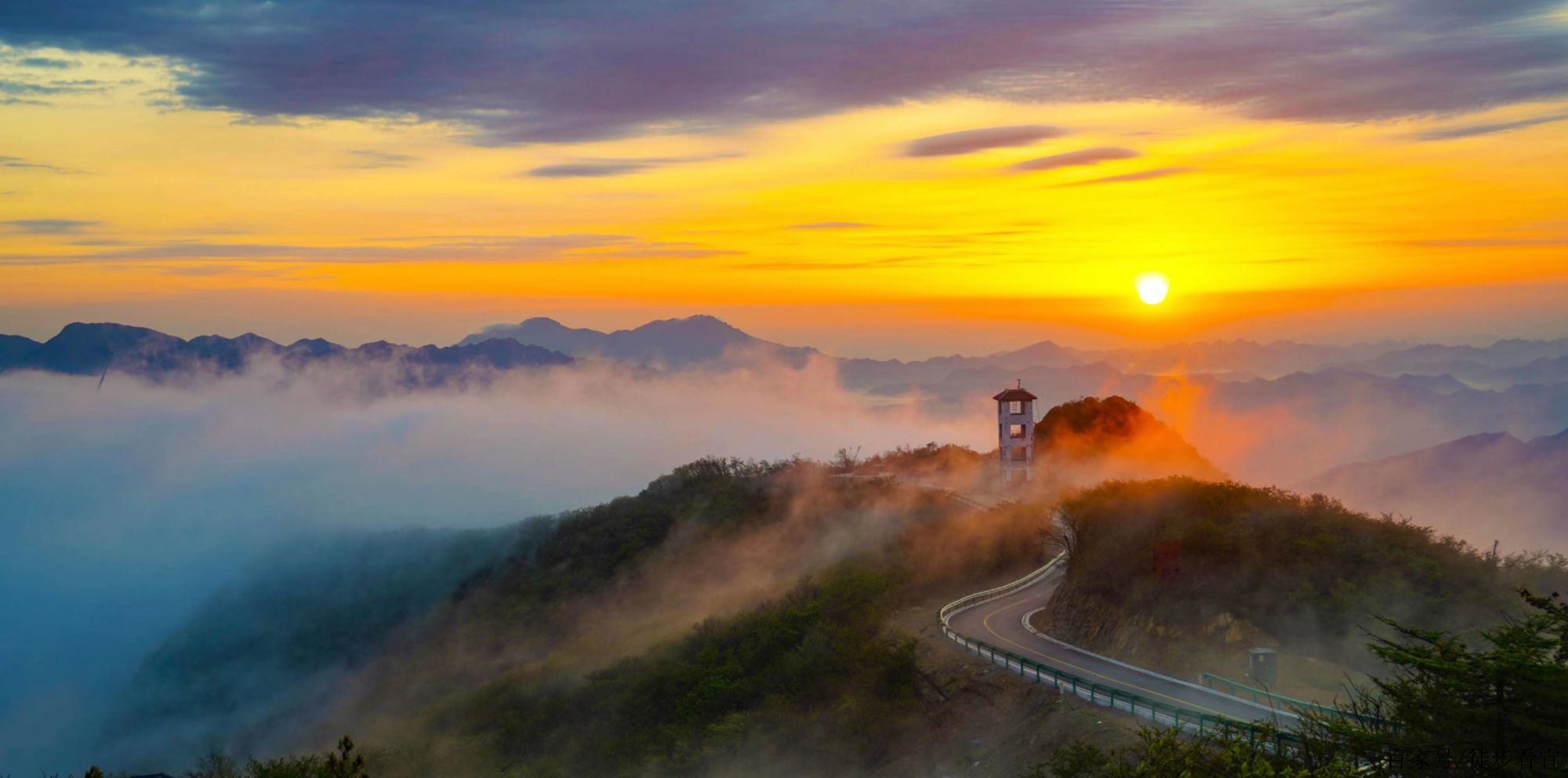 七八月自駕遊的避暑打卡地,最美茶鄉,宜昌五峰不可錯過的風景