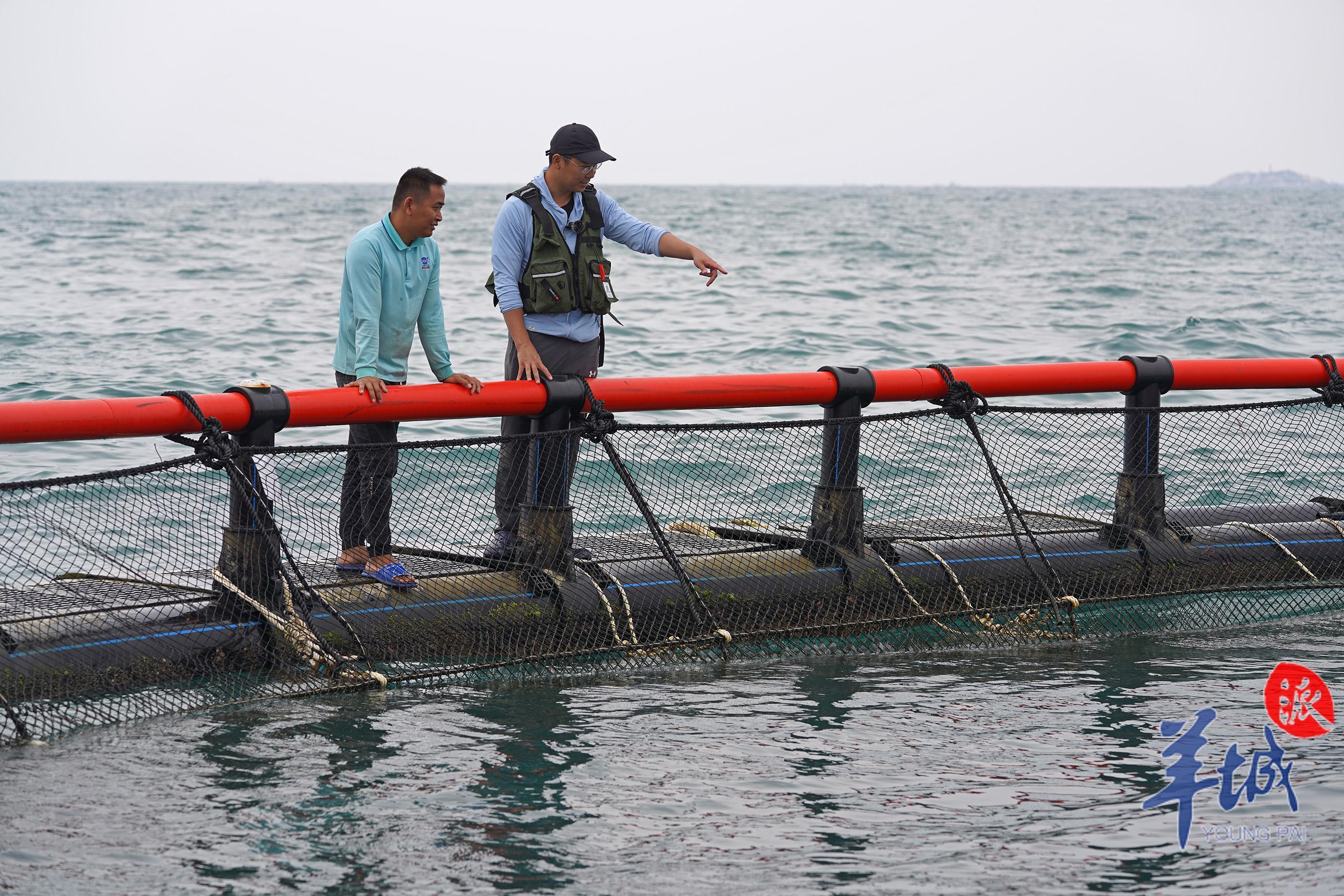 video photos|savoring the oceans melody in nanao, shantou: a