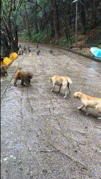 看就知道是亲生父女 第13张