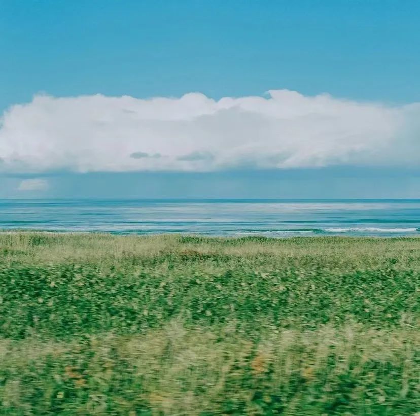 壁纸 草原 风景 摄影 桌面 828_820