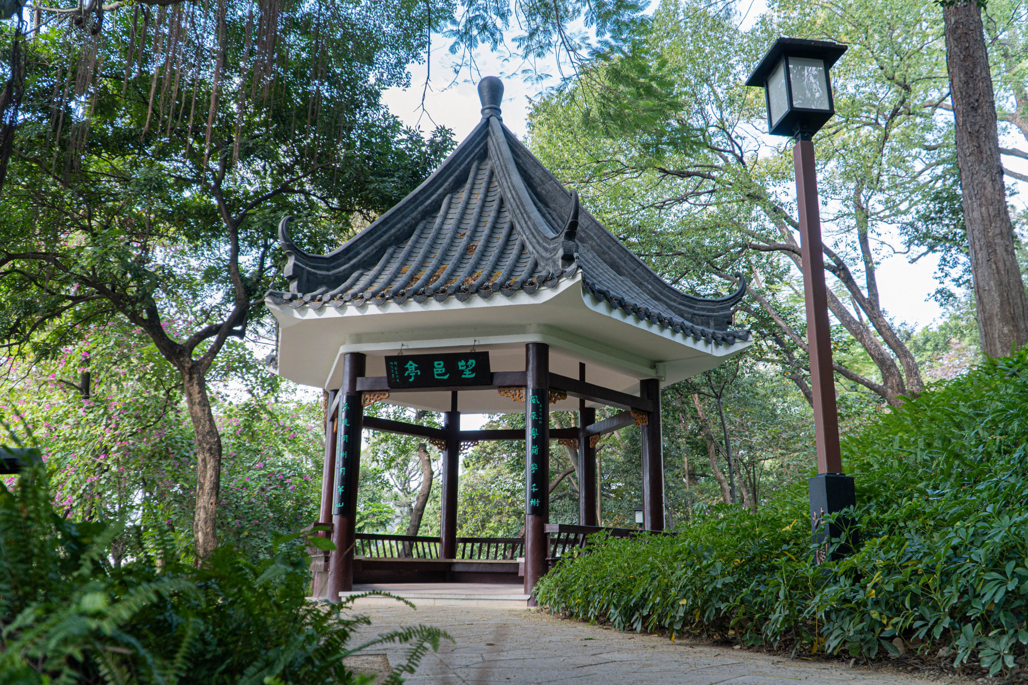 「新会旅游」这里有亿点点美丽!北园公园打卡get!