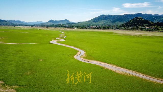 济南这个地方变身坝上草原,青山绿草与蓝天白云相伴,风景美如画卷!