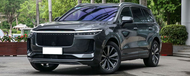 车标li是什么意思?