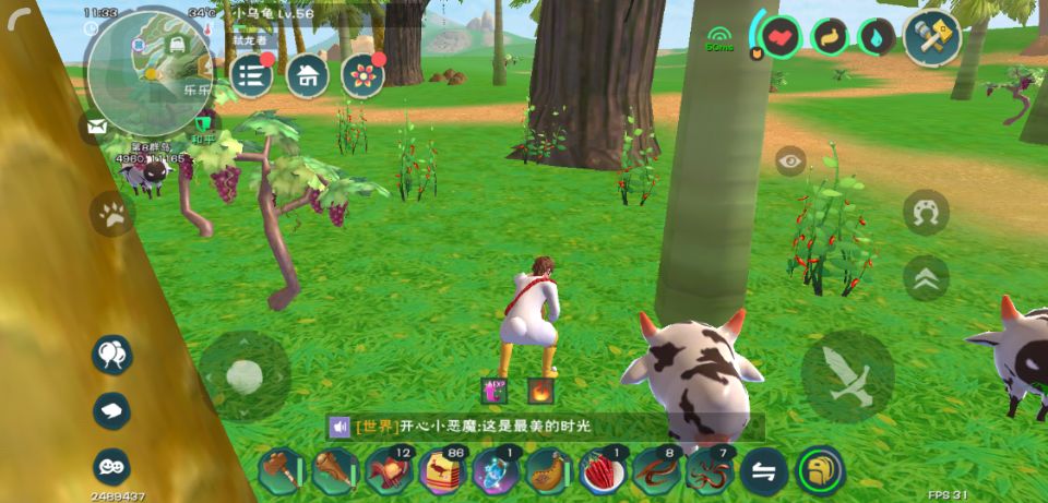 创造与魔法辣椒分布图 - 2020年最新商品信息聚合专区 - 百度爱采购