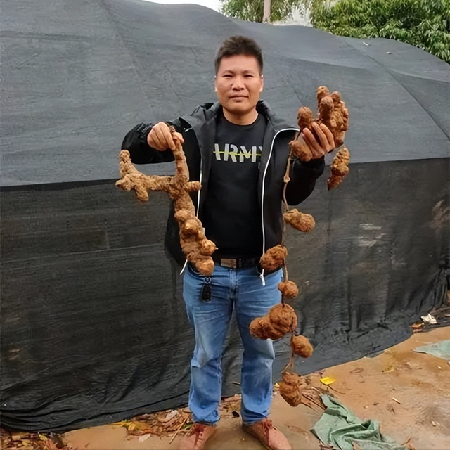 现在县城冷门暴利生意有哪些?(现在县城冷门暴利生意有哪些行业)