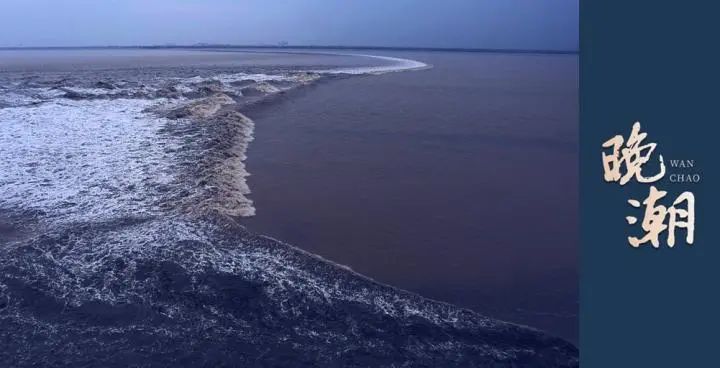 走进浙江渔文化:非遗玉环带鱼延绳钓和传统美食"带鱼肚"!