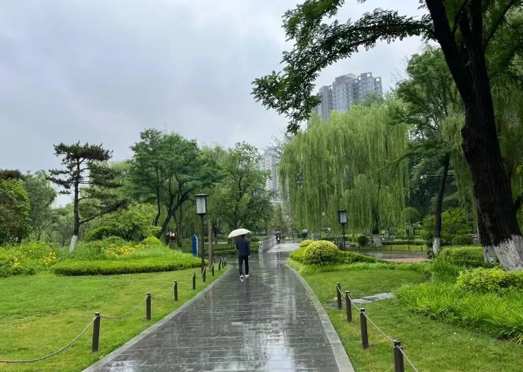 秋天的雨图片景色图片