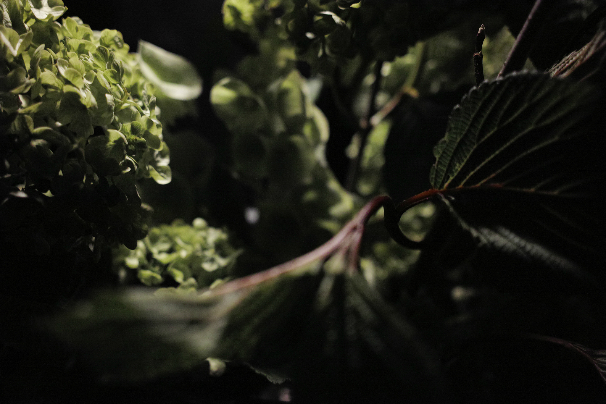 白珊珊商迟小说(精品/小说大结局)白珊珊商迟全文阅读/笔趣阁84