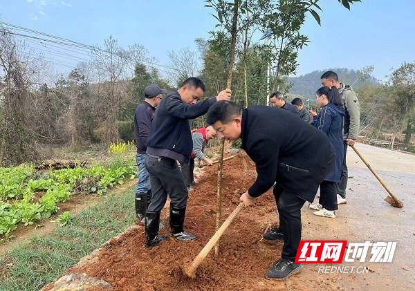 涟源茅塘镇图片