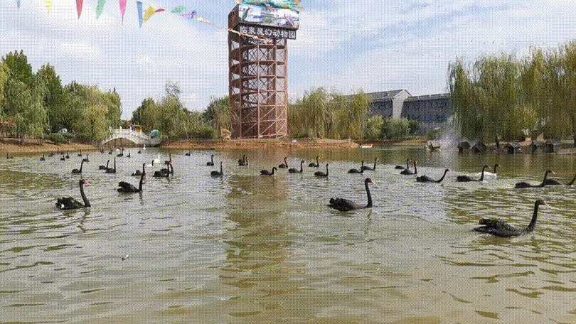 花样超多 非来不可,临泉魔幻之都为您开启国庆玩乐指南