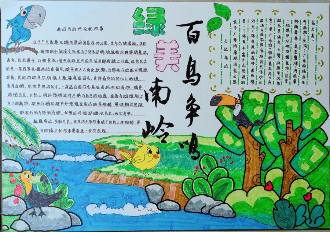 观鸟,就来韶关!