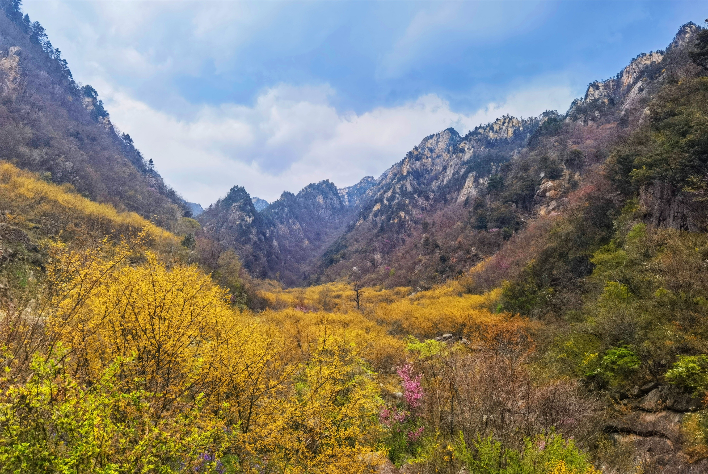 老界岭风景图片图片