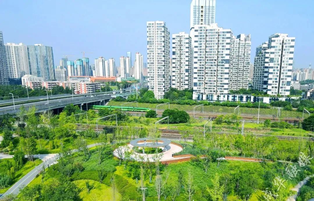 收藏這份成都運動公園指南帶你奔赴美好春天