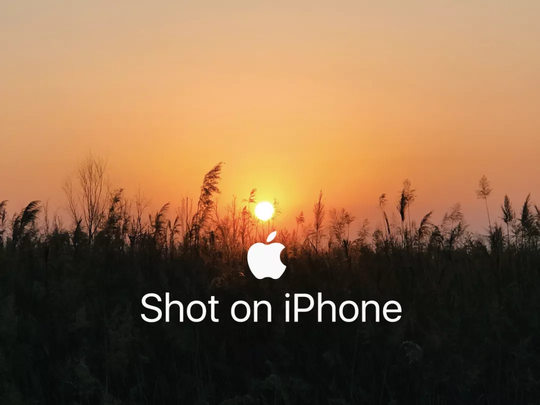 shot on iphone
