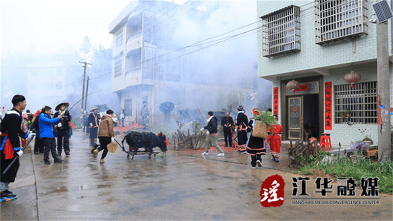 江华码市镇:"春牛"闹春 五谷丰登