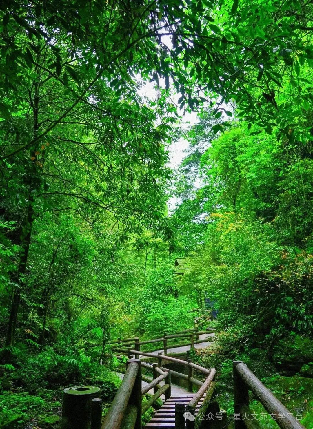 柳栓荣《听雨寄意〈巴山夜雨〉感怀》散文