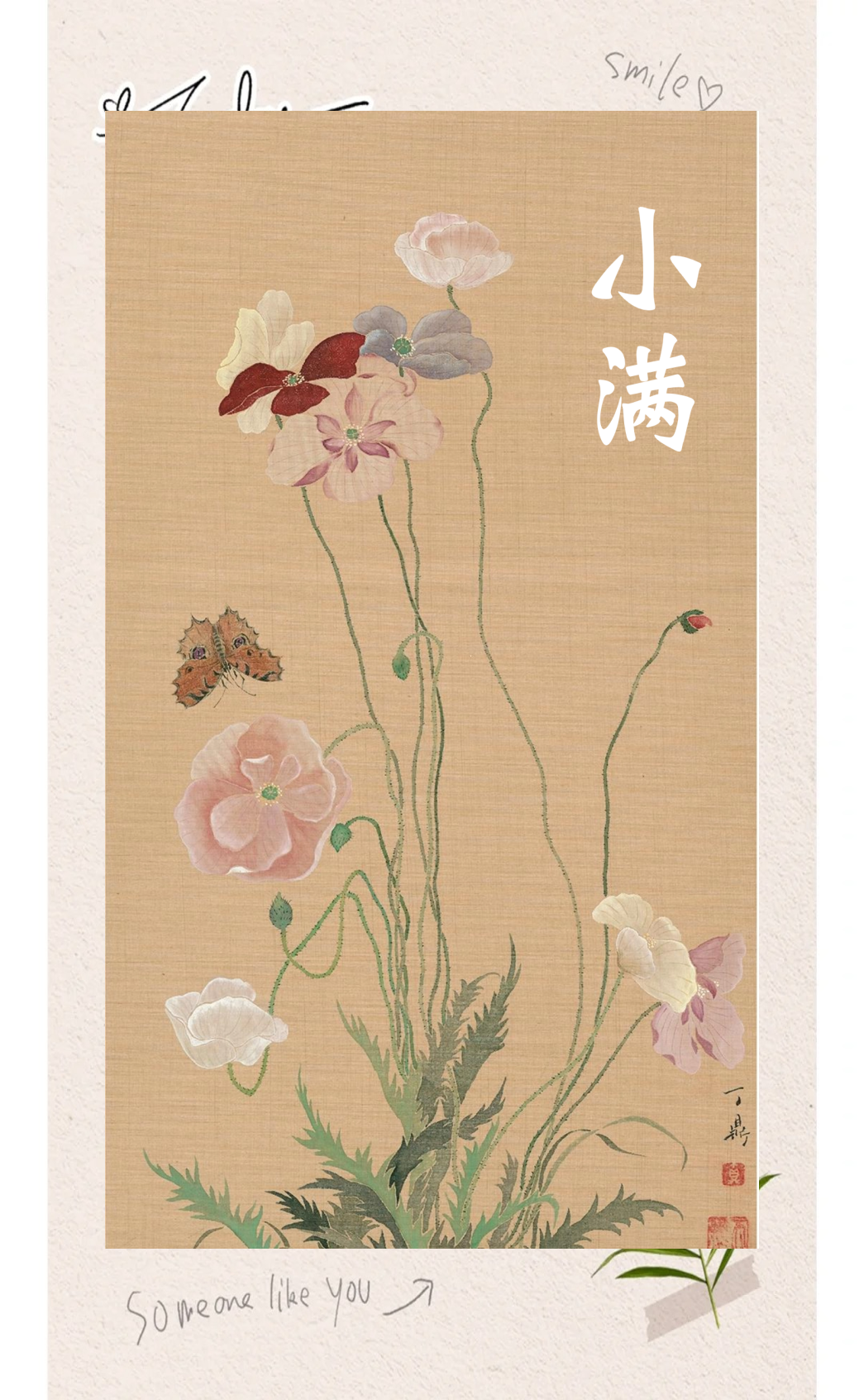 小满节气:万物小得盈满,美好恰逢其时