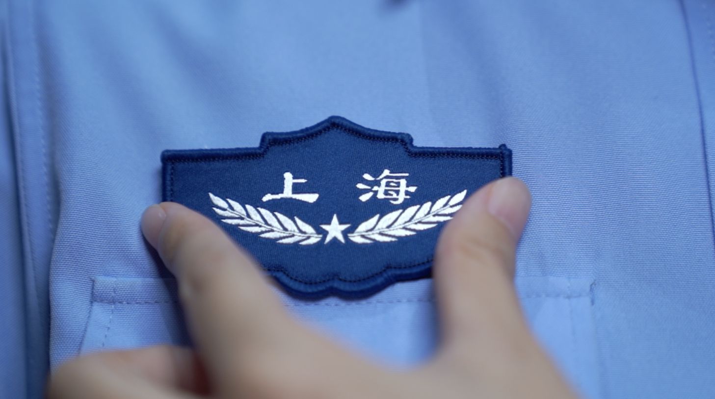 辅警警徽肩章图片