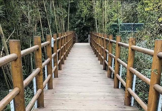 青城山熊猫谷