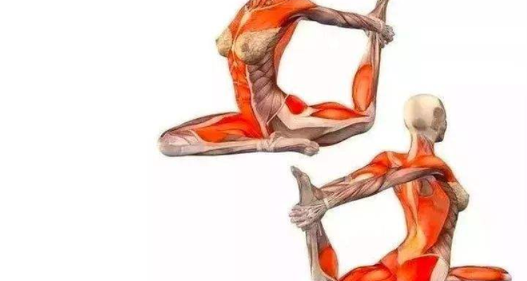 如何锻炼大腿内侧肌肉的动作