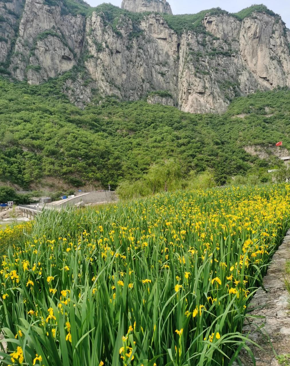 漳河国家湿地公园,位于安阳西北部的太行山中,由于鲜为人知,这里游人