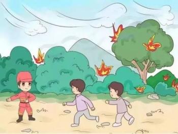 【应急科普】关于森林草原防灭火,这些知识你要知道!
