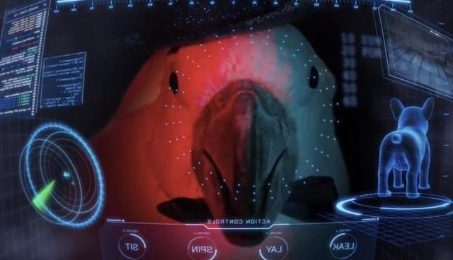 《猫狗大战3:爪爪集结!》预告片曝光