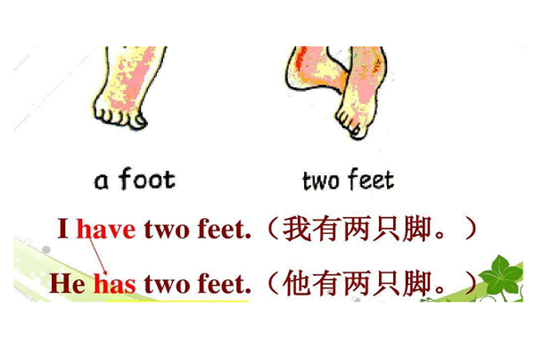 foot是单数还是复数