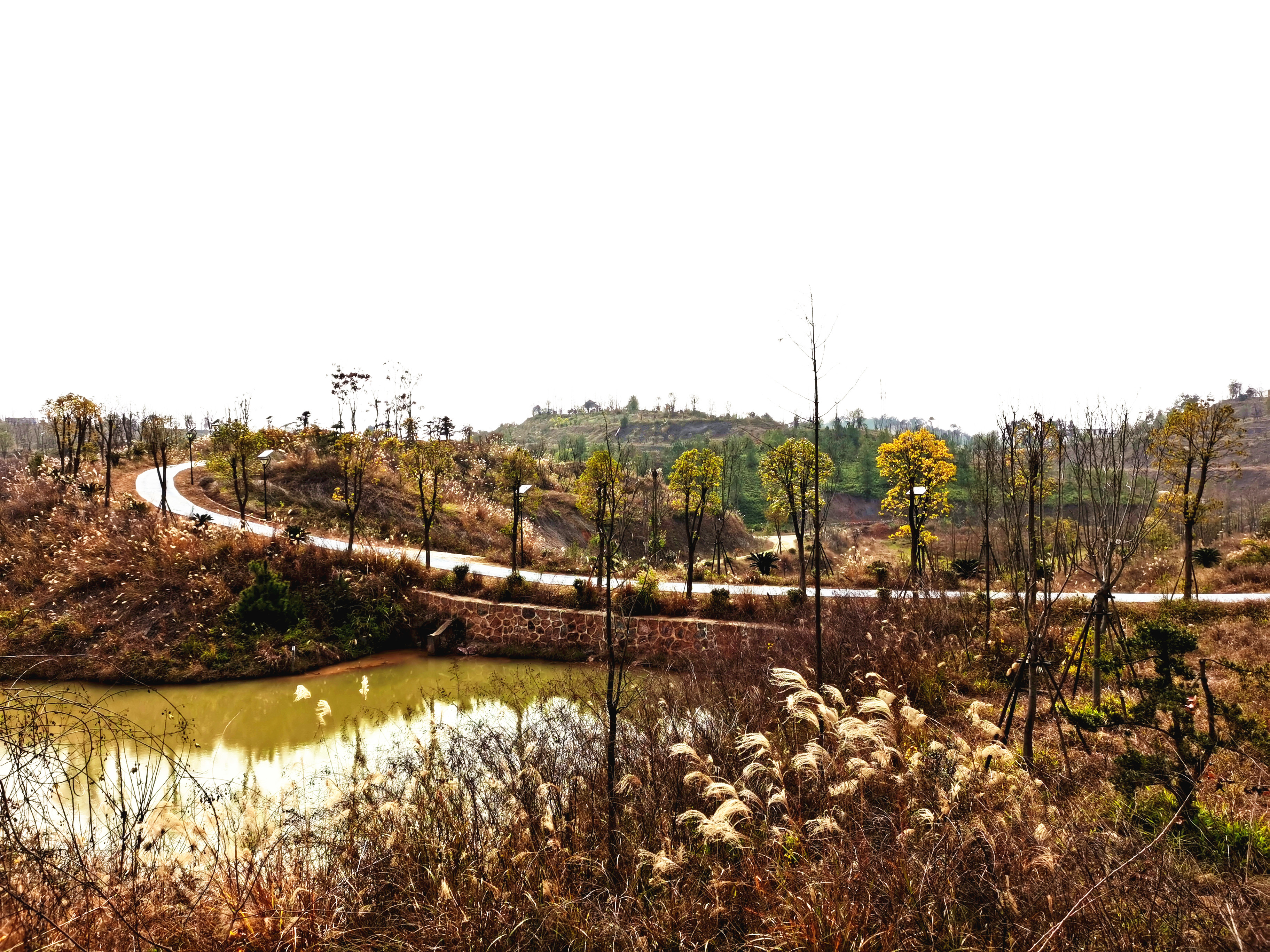 江西省赣州市于都县金桥村生态公园景区