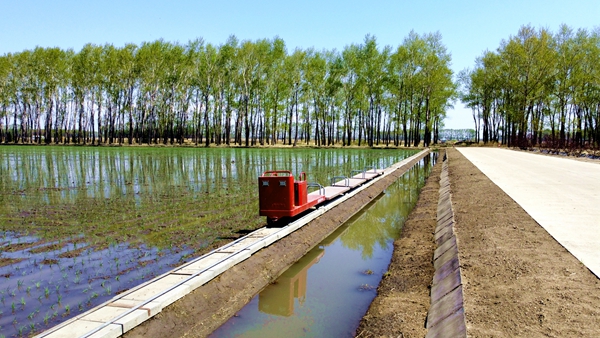 北大荒集团梧桐河农场打造"智慧农业高标准种植"示范基地